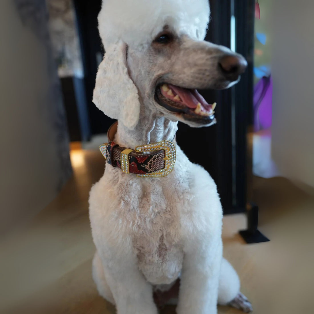 Astraea Collection - Aurum Élite