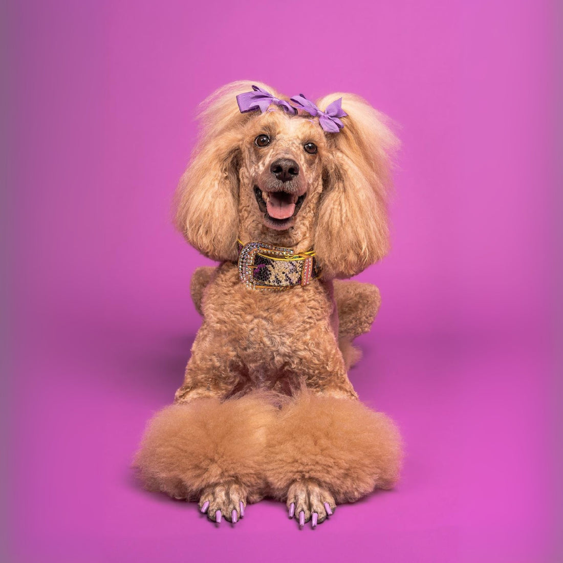 Astraea Collection - Madagascar