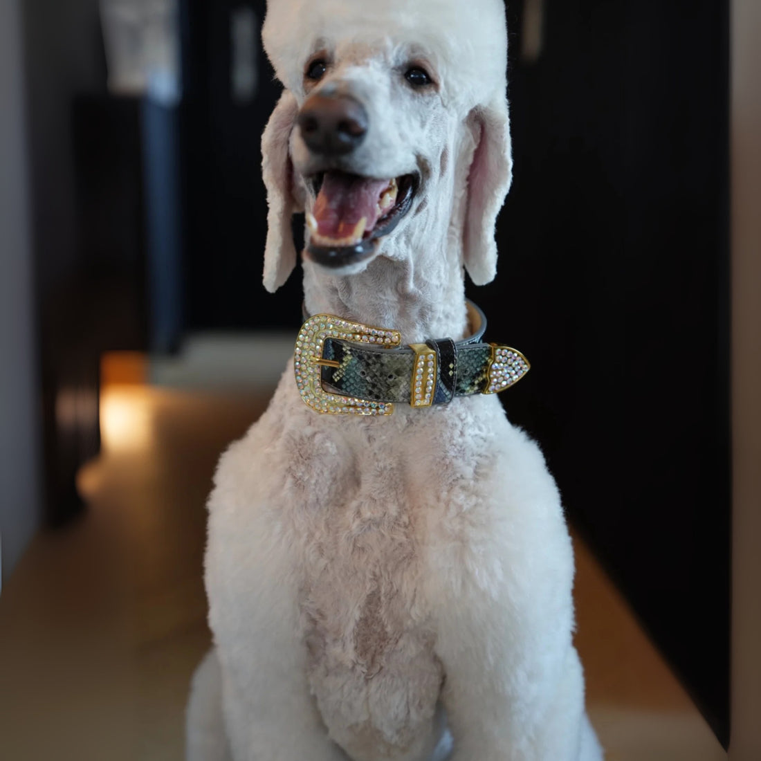 Astraea Collection - Fleur De Lis