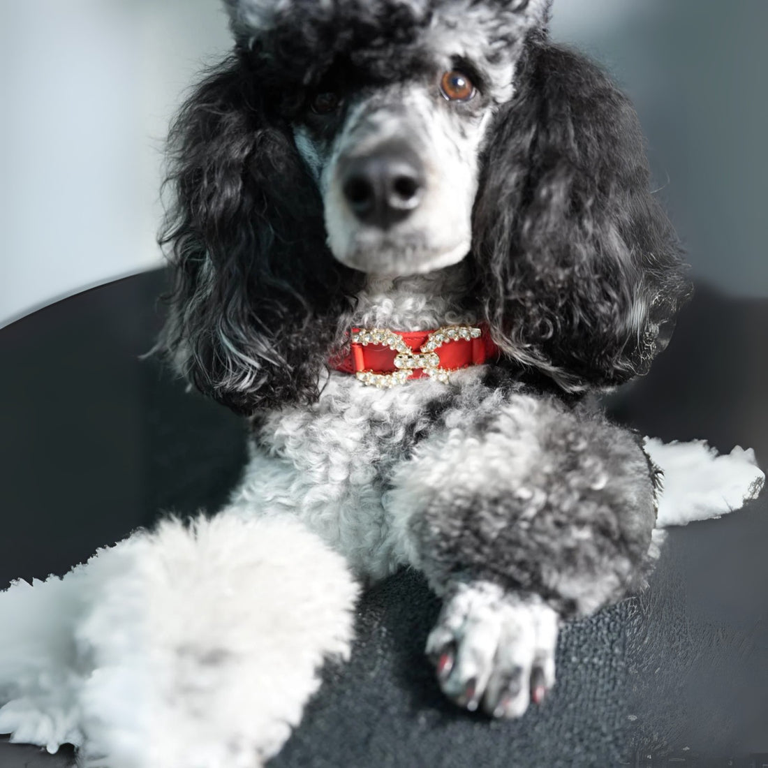 Royal Radiance Rouge