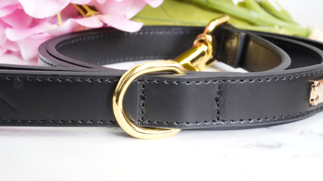 Royale Lead - Midnight