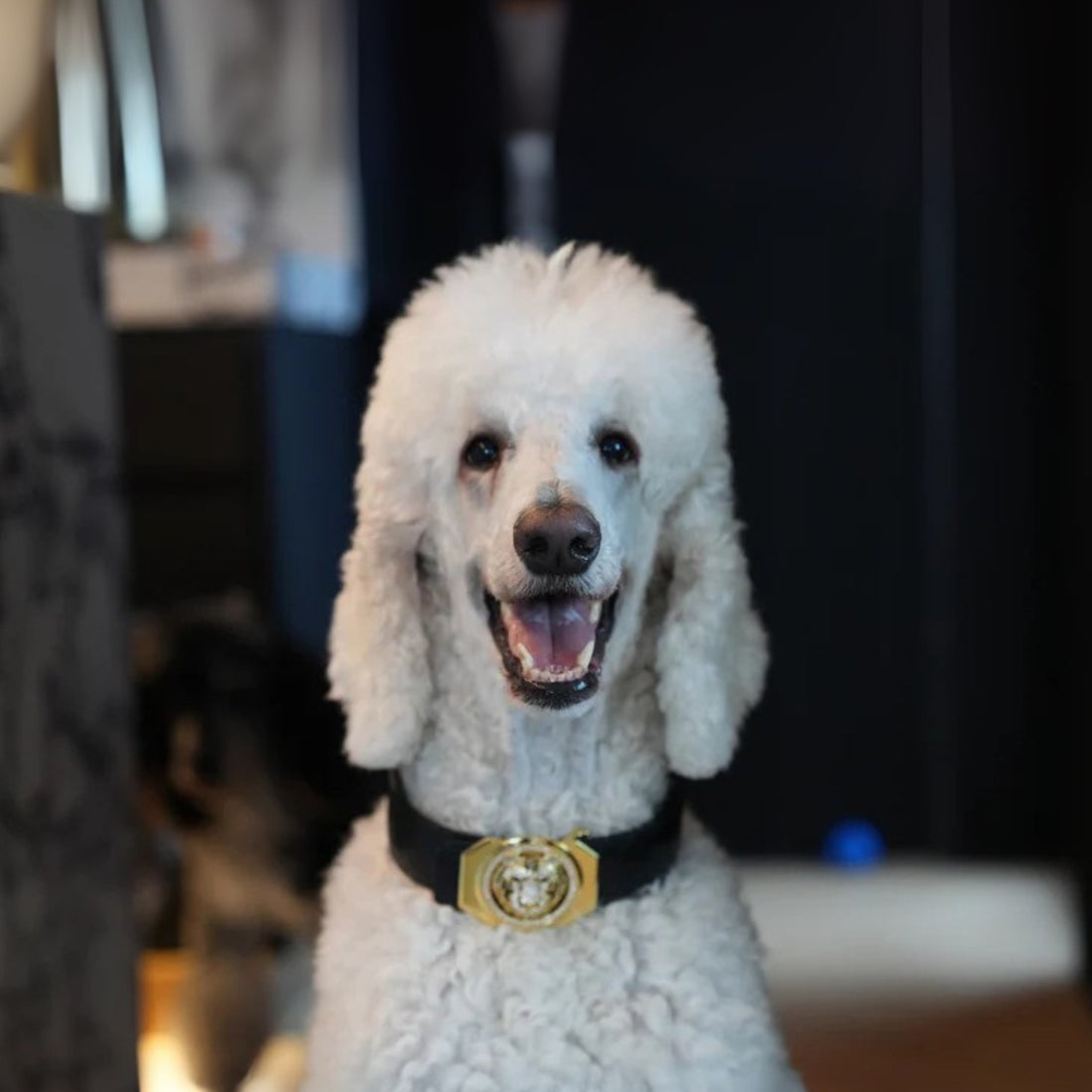 Sir Aspen's Throne — Emerald