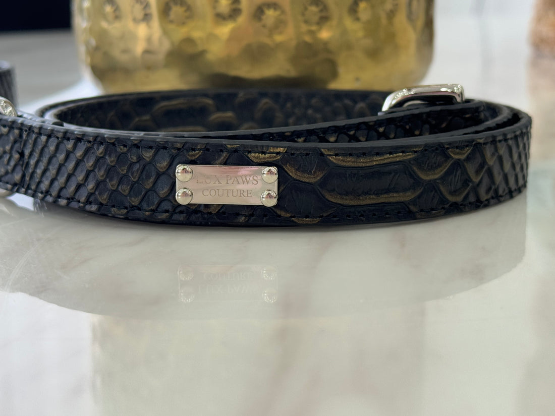 Midnight Empress Lead