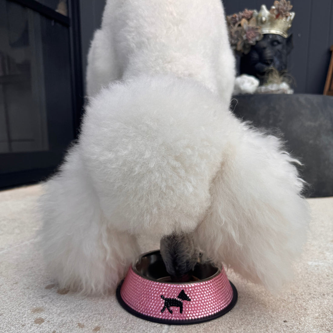 Cherie Petite Rose