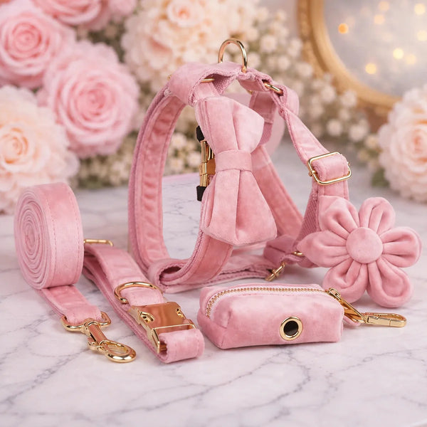 Blush Velvet Set