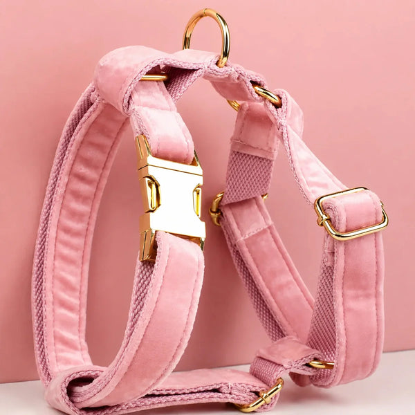 Blush Velvet Set