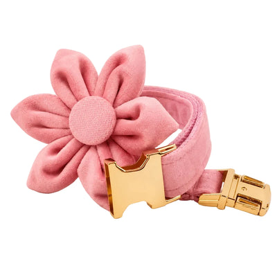 Blush Velvet Set