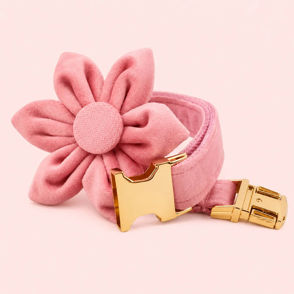 Blush Velvet Set