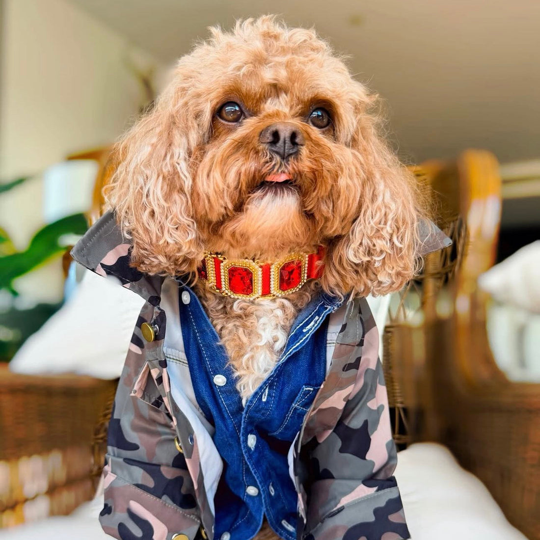 Château Éclat Crimson