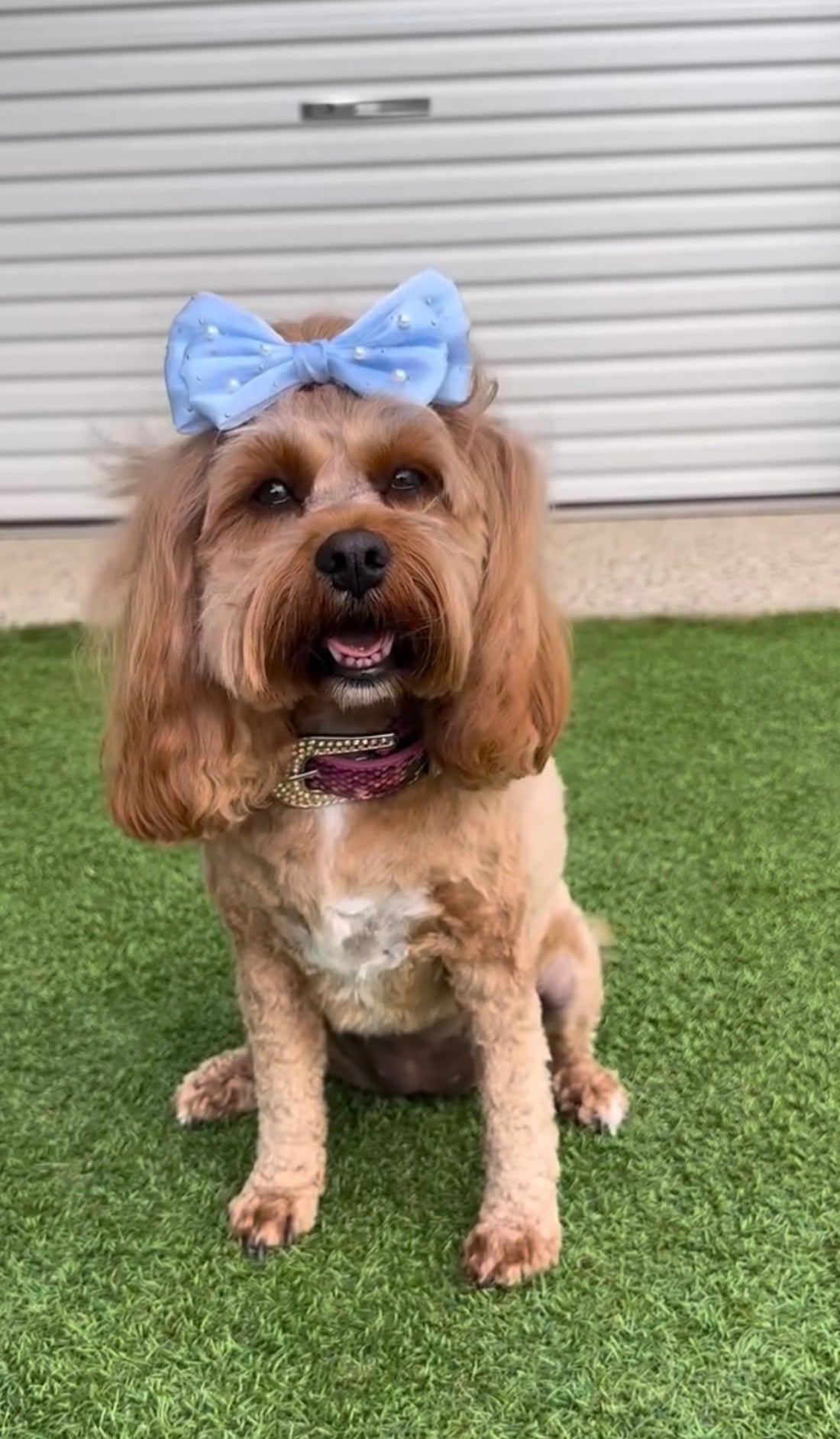 Bleu Céleste