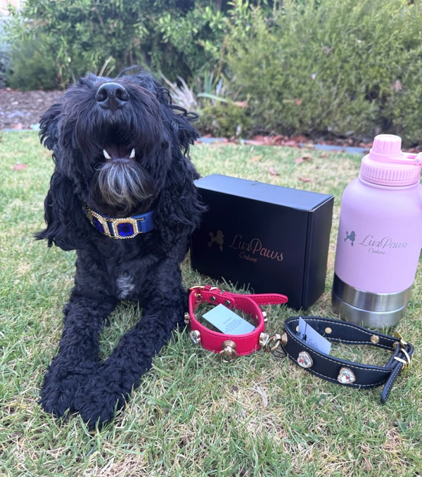 Lux Hydro Premium Pet Bottle