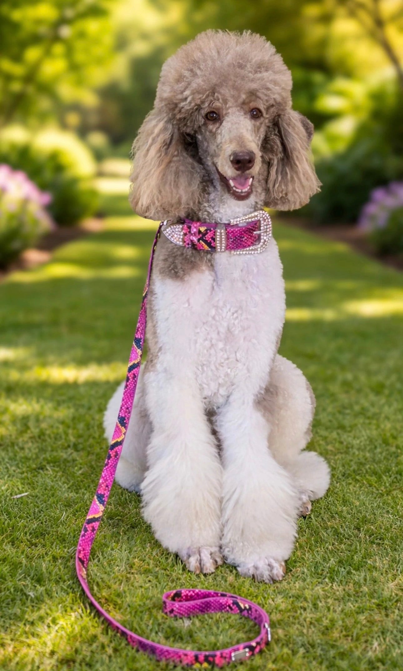 dog wearing python fleur rosé collar