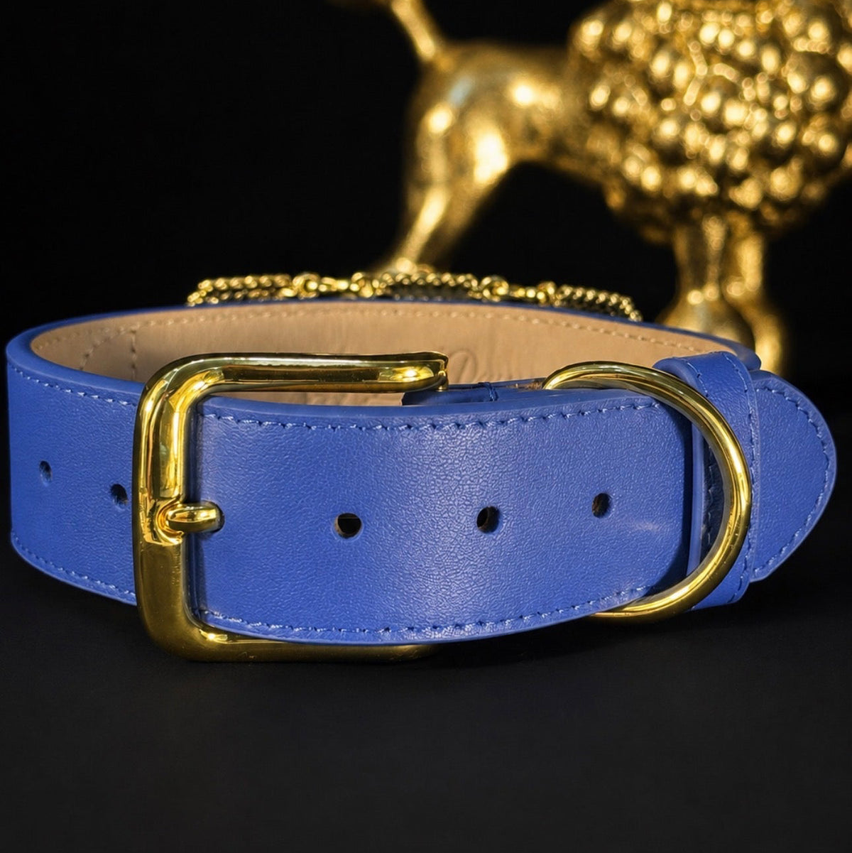 A blue leather belt with a gold buckle and D-ring, displayed on a black surface with a blurred gold decorative object in the background.