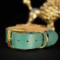 A mint green leather collar with gold-tone metal hardware, including a buckle, ring, and adjustment holes, displayed on a black background with a blurred gold bokeh ornament in the background.