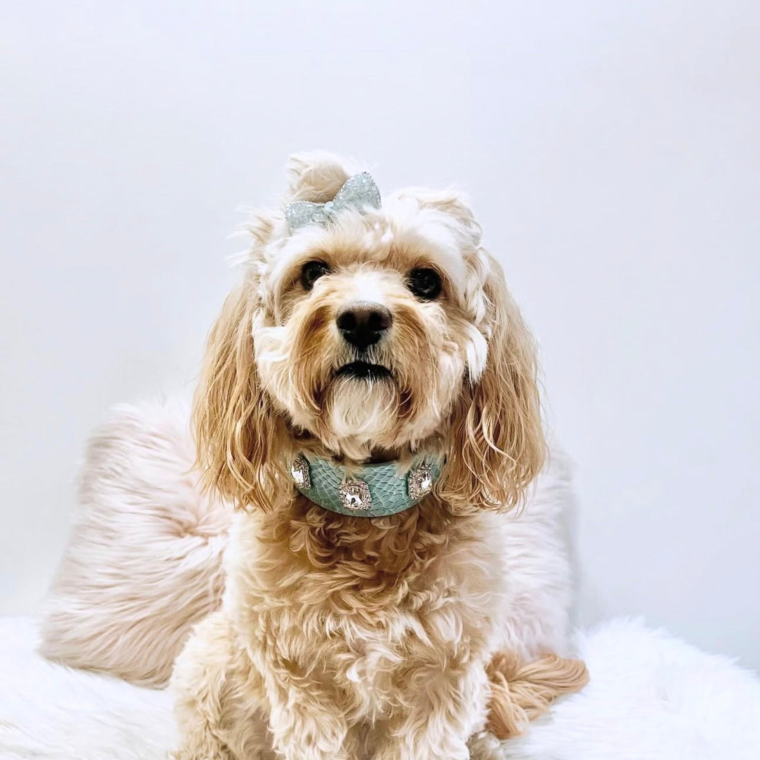 Crystal Belle Luxe Bow