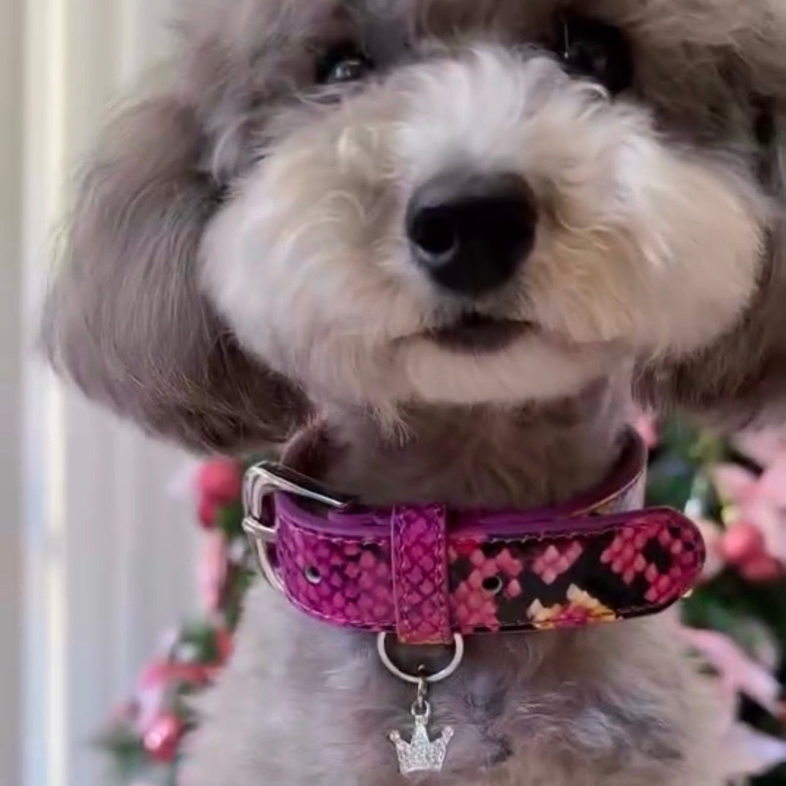 Python Fleur Rosé Small