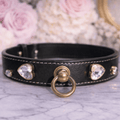 pepé la pue midnight dog collar
