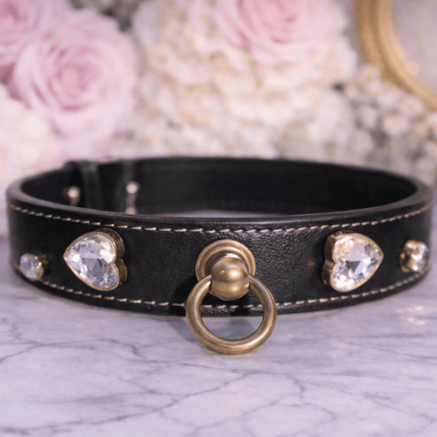 pepé la pue midnight dog collar