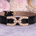 ruby reign midnight dog collar