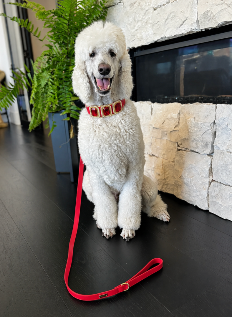 A white poodle wearing a red collar with gold square accents sits on a dark wood floor in front of a stone fireplace, with a matching red leash laid out in front.