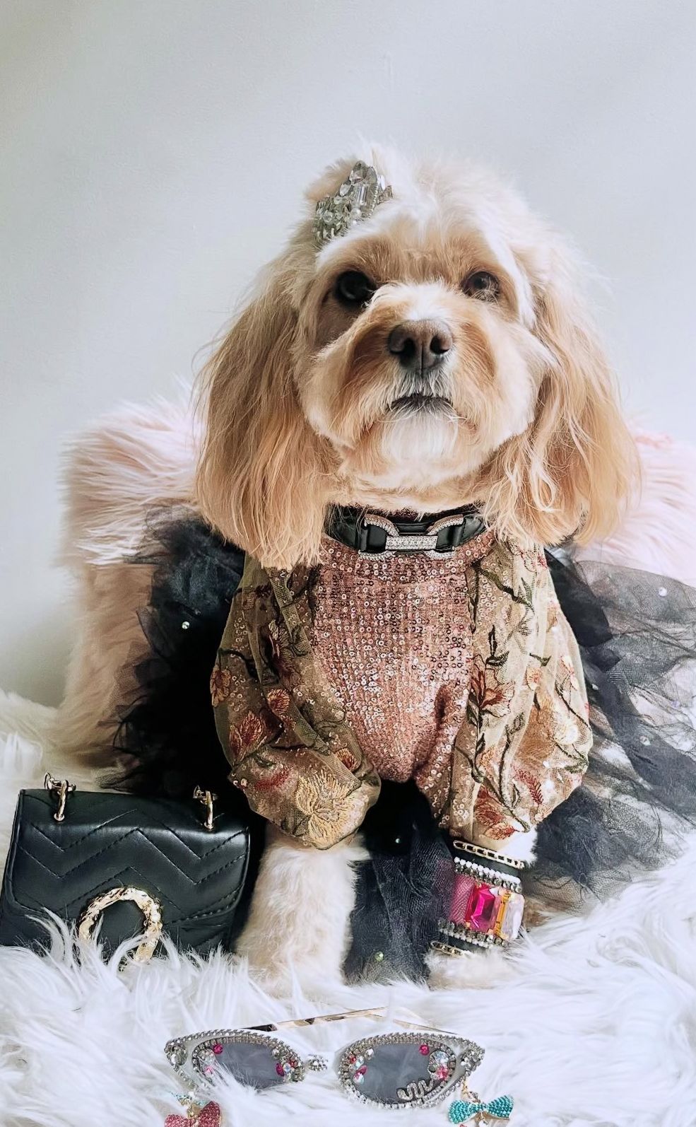 Imperial Lux Midnight