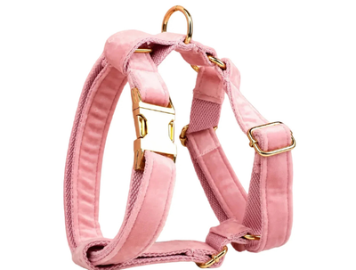 Blush Velvet Set