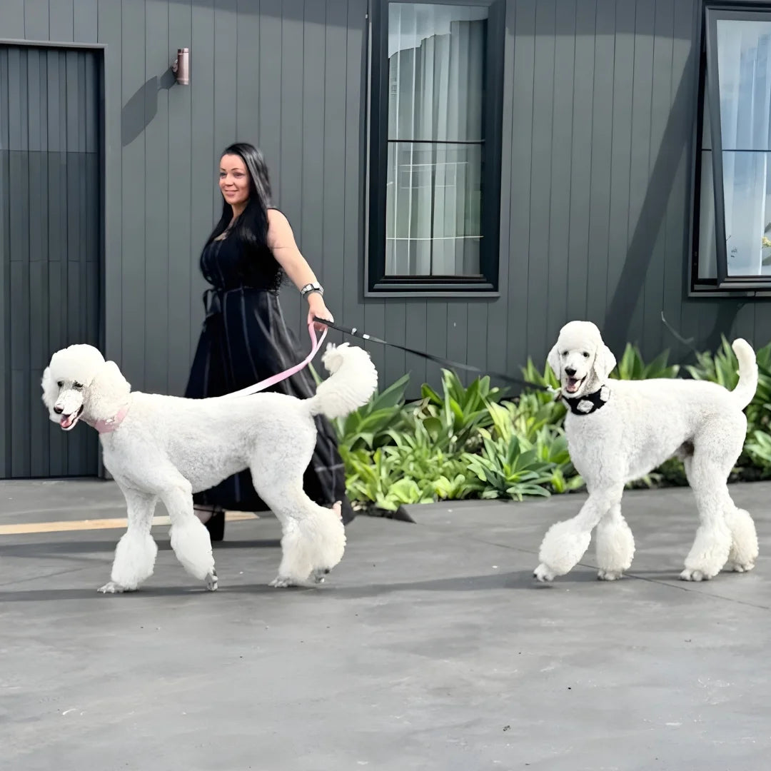 chontell hatem with dogs