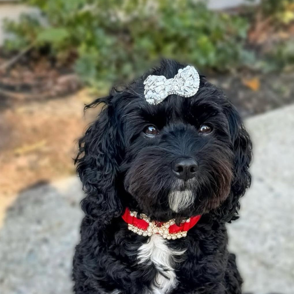 Bijou Royale